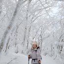 한라산렌트카