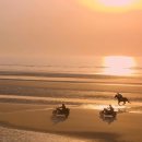 동호해변 이미지