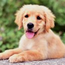 김포24시 힐 동물의료센터 이미지