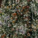 호텔마르 이미지