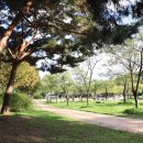 난지천공원 이미지