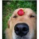 산골공작소 이미지