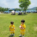 안성맞춤랜드 잔디광장 아이와 함께 가볼만한 곳 산내들 푸른안성환경축제 다녀온 후기