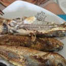 서씨네 | 서씨네굴비 내돈내산 후기｜백화점 굴비보다 더 맛있었던 영광 법성포 굴비 밥도둑 인정 🐟