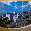 마애불화장실 이미지