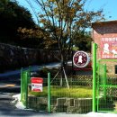 애견클럽 이미지