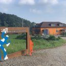 그림책 꽃밭 이미지