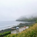 제주 셋알오름 일제동굴진지 | [대정읍] 비오는날 다크투어리즘 송악산 일제 해안 동굴진지