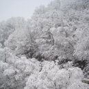 (구)철암역 이미지