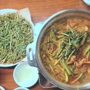 싱그러운청도로(봄) 이미지