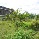 이안농장 이미지