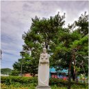 대구가톨릭대학교병원 이미지