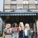 프로애견사 이미지