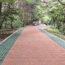 돌리네습지 초소 이미지