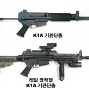 한국군의 자랑, K1A와 K2 소총 이미지