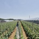 갈매보건진료소 이미지