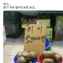 부강다방 - 북구 서방로 81 | 부강다방