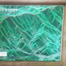 2021 충청 SOTA DAY HL/CN-007 (아산 광덕산 (Gwangdeoksan)) 70국 교신 이미지