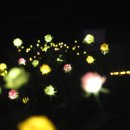 재바우화덕구이 이미지