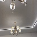 이정훈 강아지 하남본점 | 하남강아지분양 이정훈강아지 하남본점 작고 사랑스러운 가족이 생겼던 말티즈 여아 입양 후기