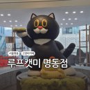 션샤인캣 | 명동 가볼만한 곳 실내동물원 고양이카페 루프캣미 후기