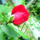 이종수의 즐거운 노래세상 이미지