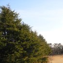 녹동초등학교 이미지