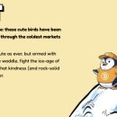 펭귄유통 이미지