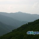 [정기산행]2011년6월5일 민주지산 1242m 충북영동 이미지