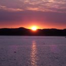 바다새민박 이미지