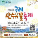 2024 구례산수유 축제 이미지