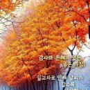 사랑하는 시월愛 이미지