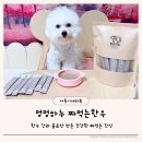 멍멍하누 이미지