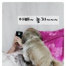 놀아줘 - 영등포구 선유동1로 6-7 | 놀아줘