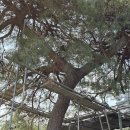 야지농장 이미지