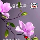 용기(勇氣)는 절망(絕望) 에서생긴다. 이미지