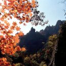 설악산천연보호구역 이미지