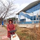 은행나무집 이미지