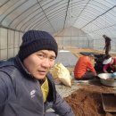 구주령 산채농원 이미지