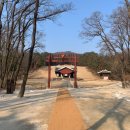 서울 헌릉과 인릉 이미지