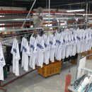 진솔세탁 이미지