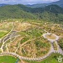 해운대로 이미지