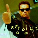 보경