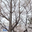 우곡사거리 이미지