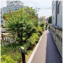 제일세무회계 이미지