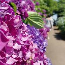 동광리-2 이미지