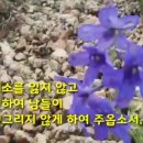 " 귀한 인연이길.." 외 4건 [유광종위원장님의 카톡에서] 이미지