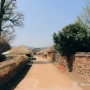 낙안청과 이미지