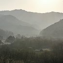 비밀의 정원 이미지