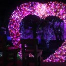 프로방스 포토랜드 이미지